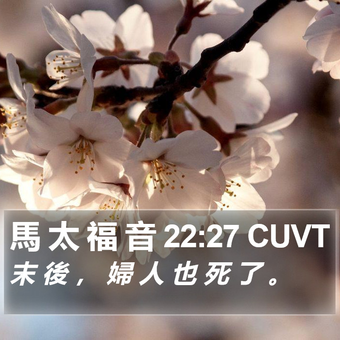 馬 太 福 音 22:27 CUVT Bible Study
