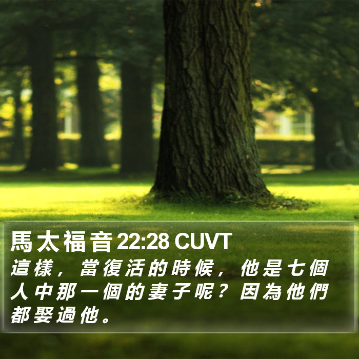 馬 太 福 音 22:28 CUVT Bible Study