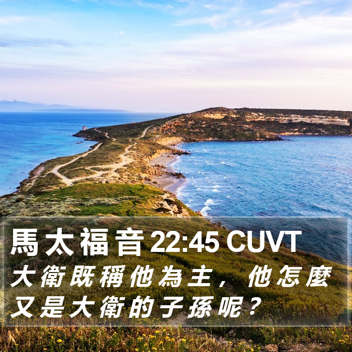 馬 太 福 音 22:45 CUVT Bible Study