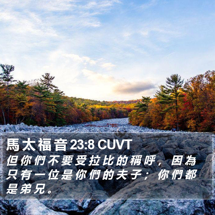 馬 太 福 音 23:8 CUVT Bible Study