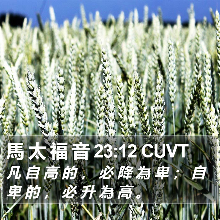 馬 太 福 音 23:12 CUVT Bible Study