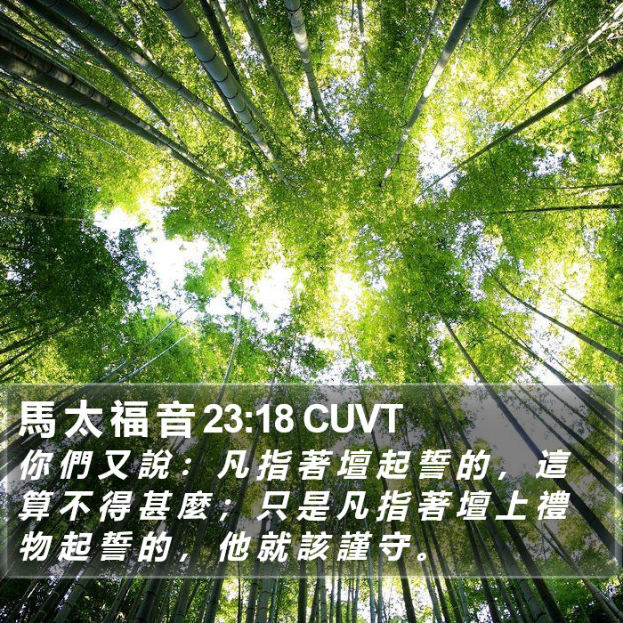 馬 太 福 音 23:18 CUVT Bible Study