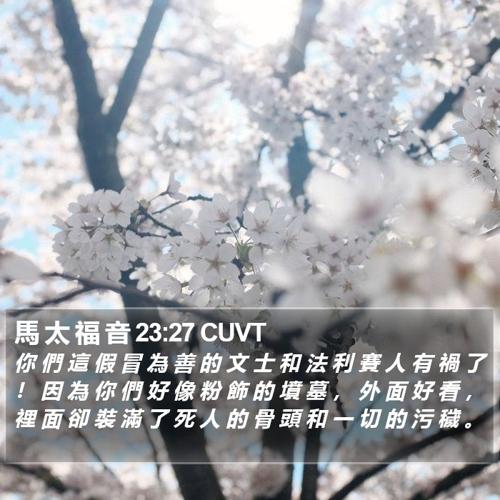 馬 太 福 音 23:27 CUVT Bible Study