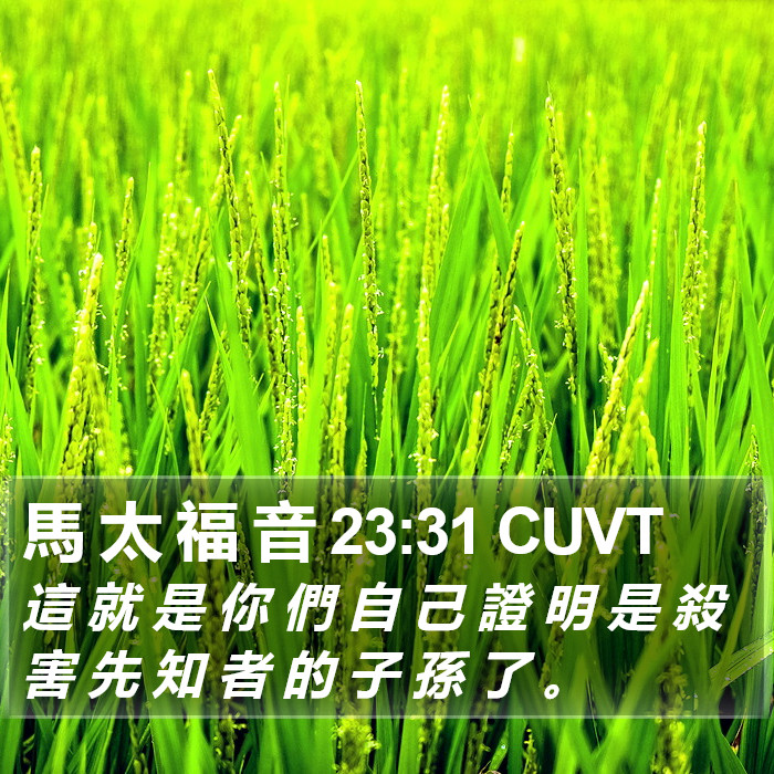 馬 太 福 音 23:31 CUVT Bible Study