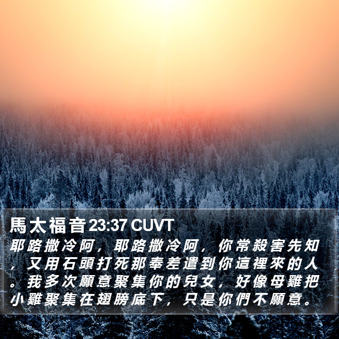 馬 太 福 音 23:37 CUVT Bible Study