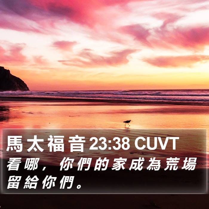 馬 太 福 音 23:38 CUVT Bible Study