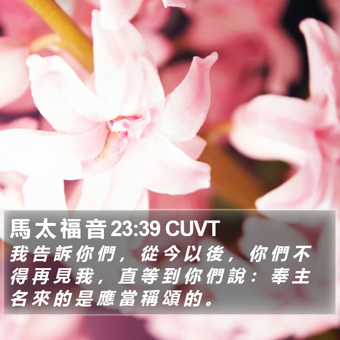 馬 太 福 音 23:39 CUVT Bible Study