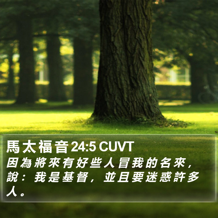 馬 太 福 音 24:5 CUVT Bible Study