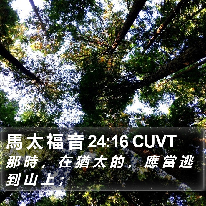 馬 太 福 音 24:16 CUVT Bible Study