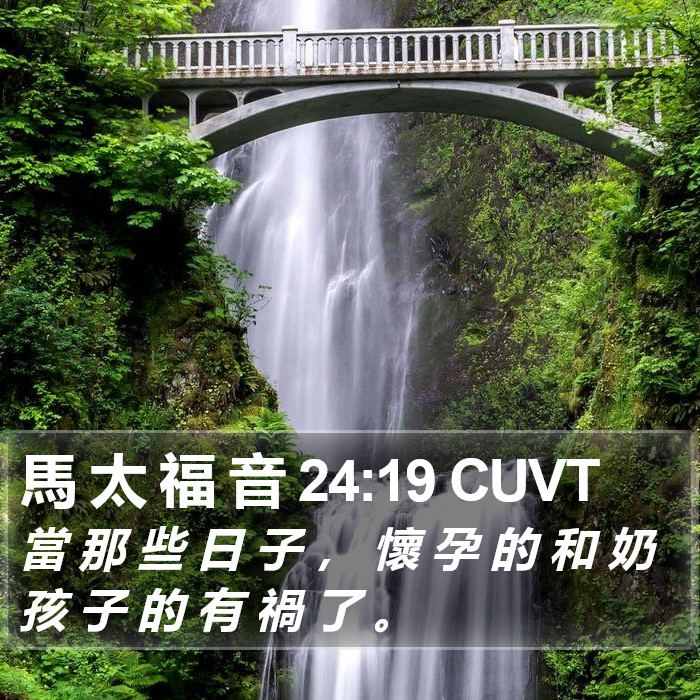 馬 太 福 音 24:19 CUVT Bible Study