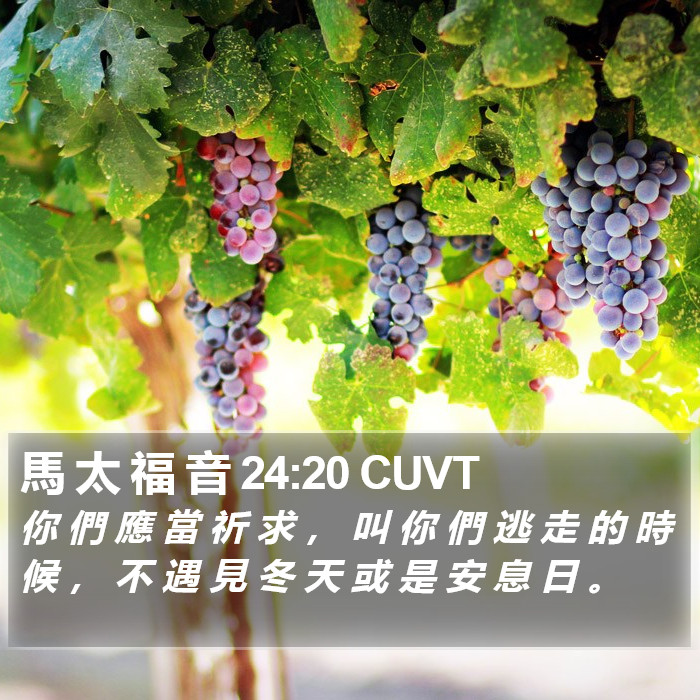 馬 太 福 音 24:20 CUVT Bible Study