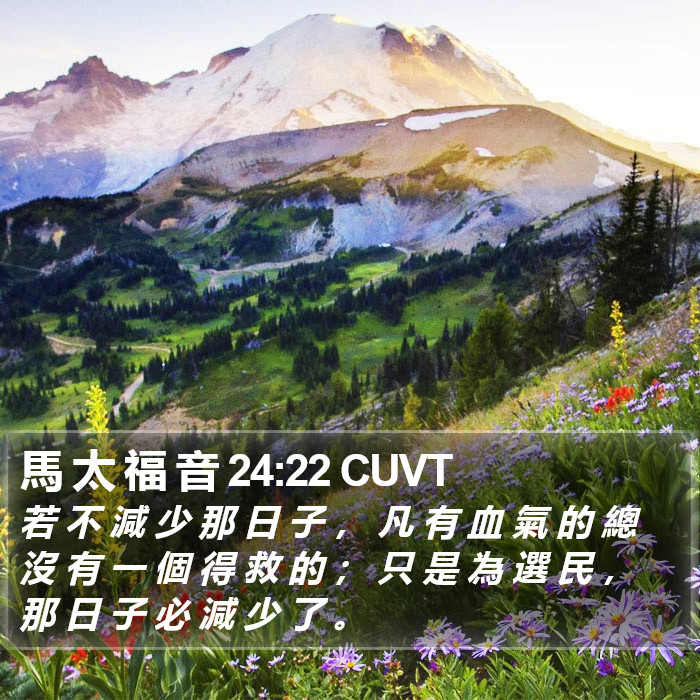 馬 太 福 音 24:22 CUVT Bible Study