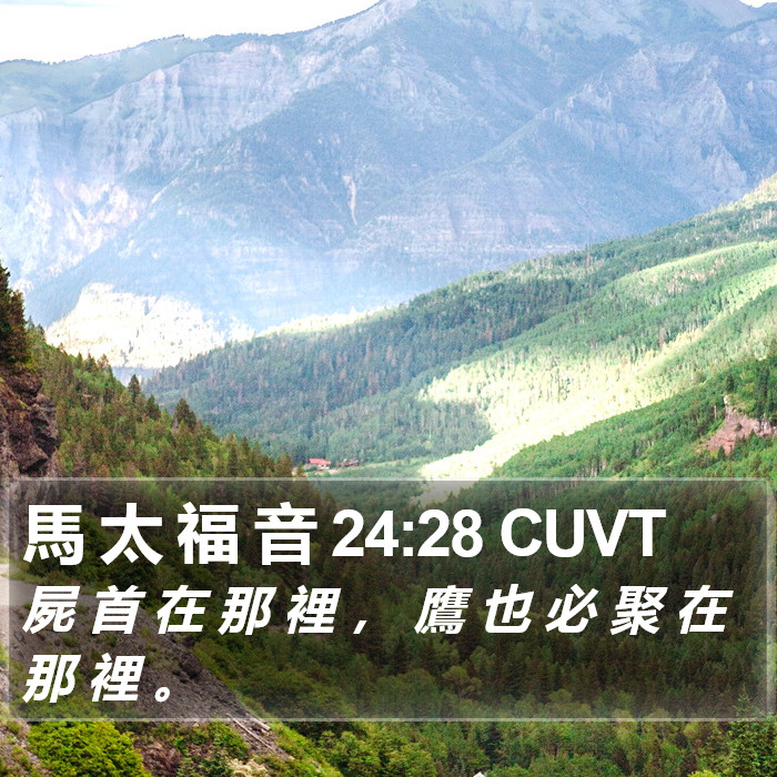 馬 太 福 音 24:28 CUVT Bible Study