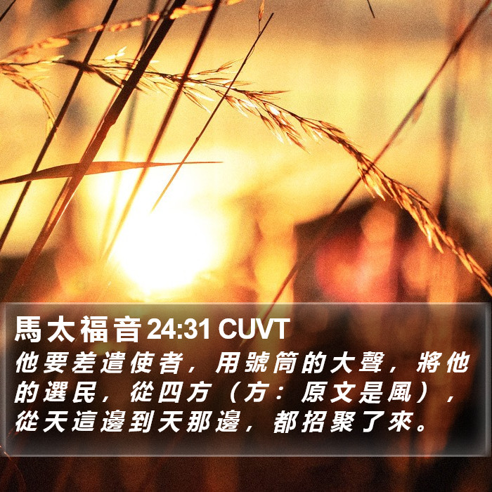 馬 太 福 音 24:31 CUVT Bible Study