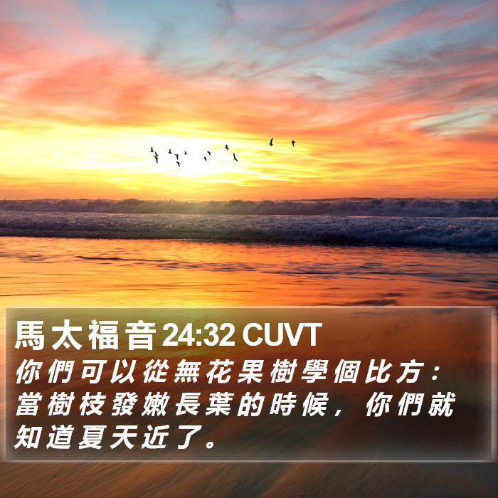 馬 太 福 音 24:32 CUVT Bible Study