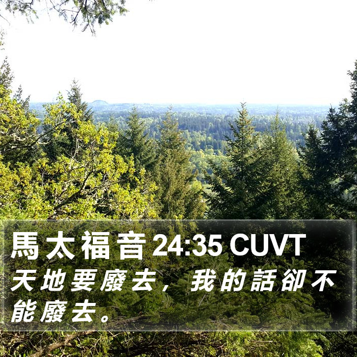 馬 太 福 音 24:35 CUVT Bible Study