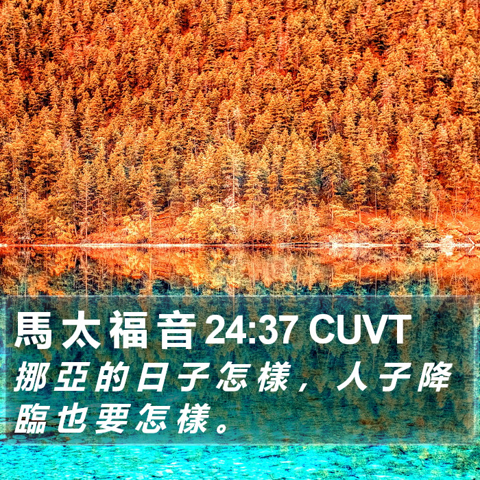馬 太 福 音 24:37 CUVT Bible Study