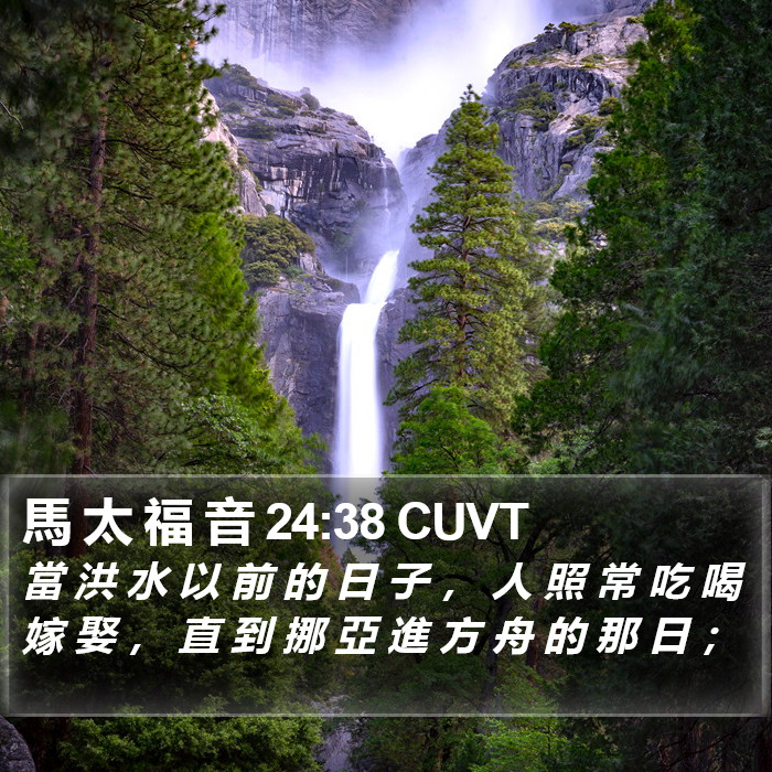 馬 太 福 音 24:38 CUVT Bible Study