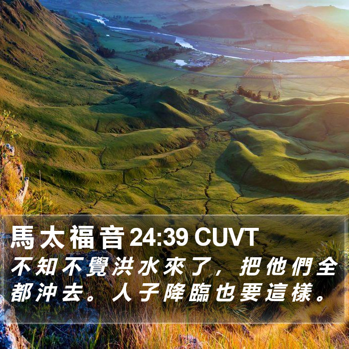 馬 太 福 音 24:39 CUVT Bible Study