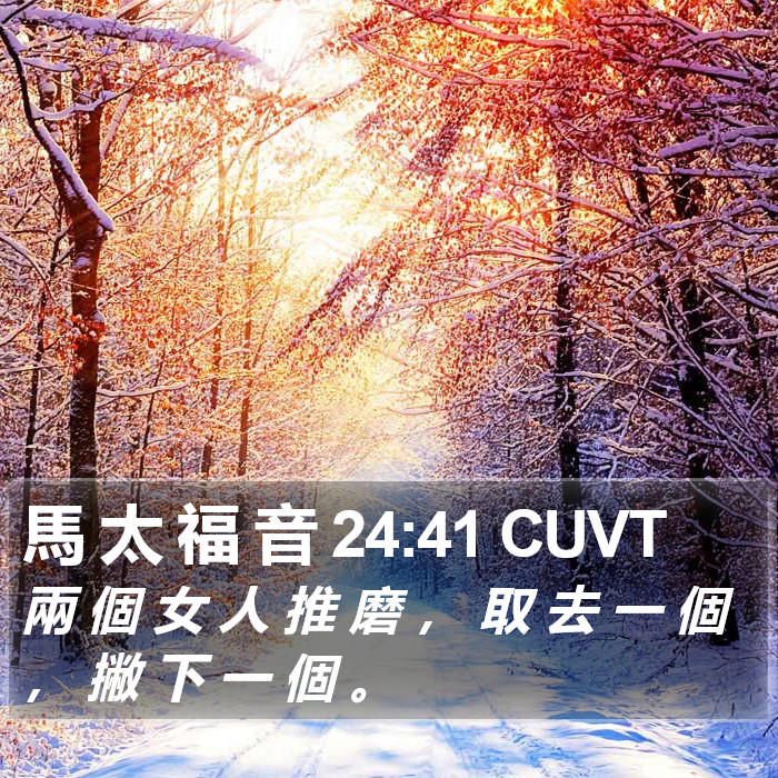 馬 太 福 音 24:41 CUVT Bible Study
