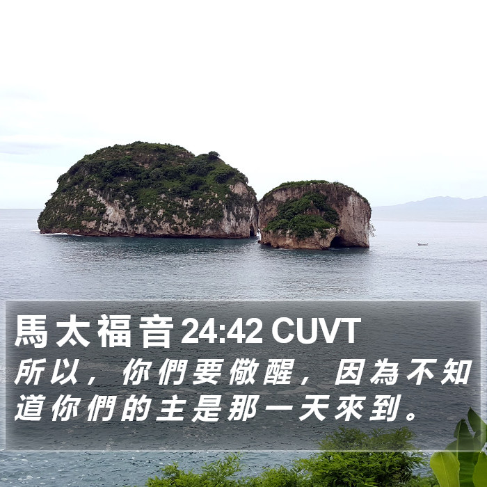 馬 太 福 音 24:42 CUVT Bible Study