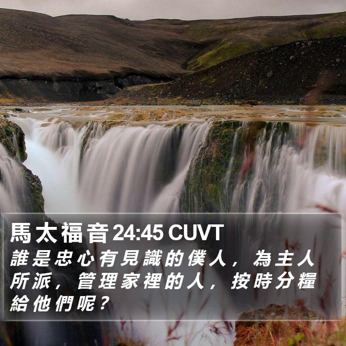 馬 太 福 音 24:45 CUVT Bible Study