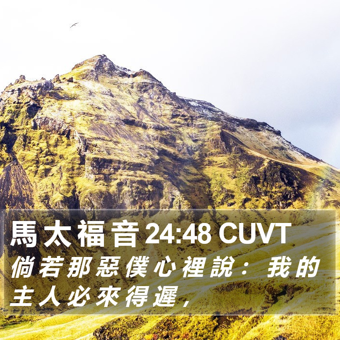 馬 太 福 音 24:48 CUVT Bible Study