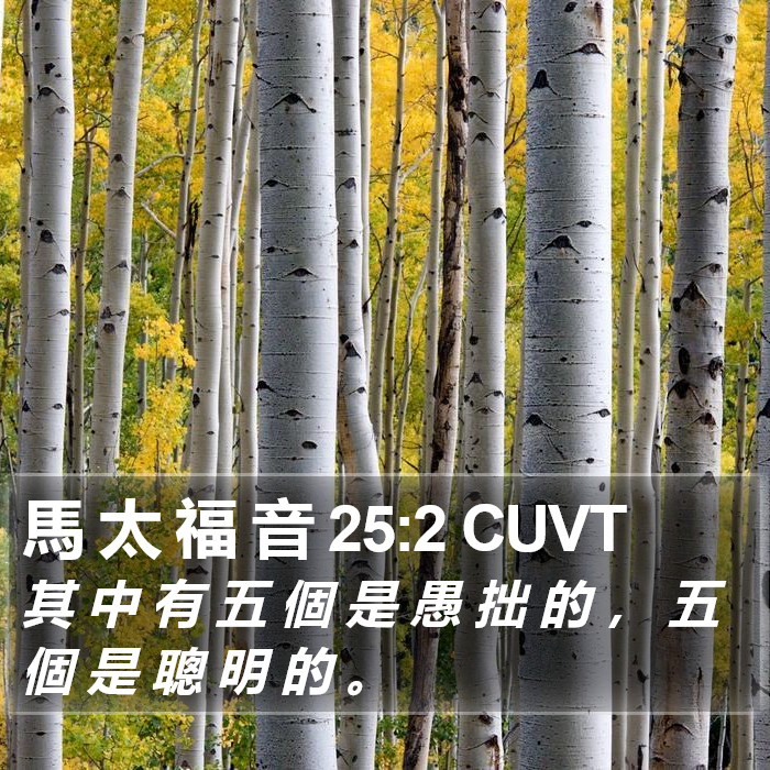 馬 太 福 音 25:2 CUVT Bible Study