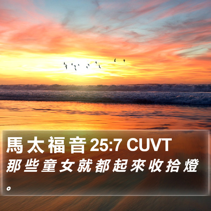 馬 太 福 音 25:7 CUVT Bible Study