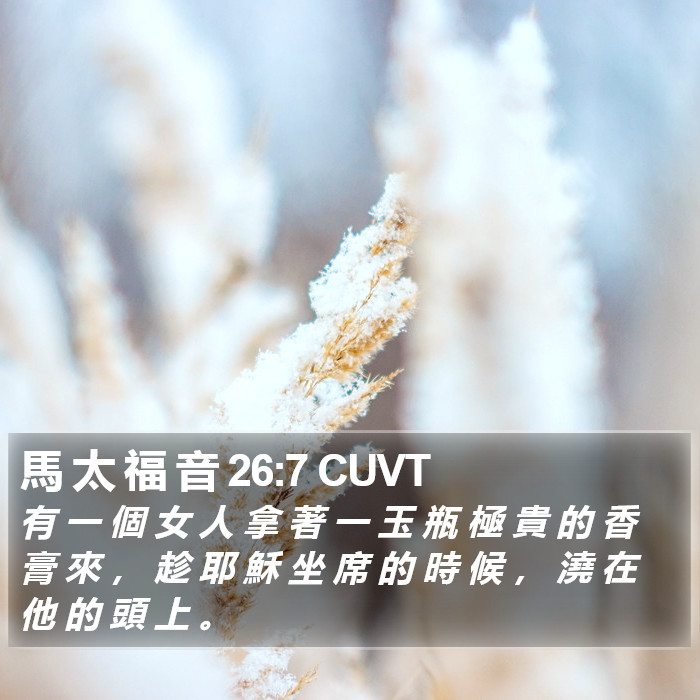 馬 太 福 音 26:7 CUVT Bible Study