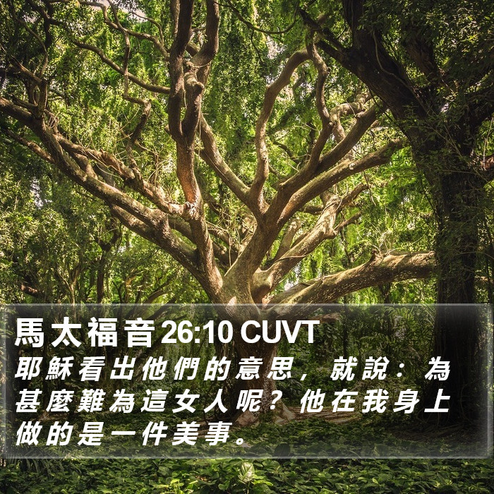 馬 太 福 音 26:10 CUVT Bible Study