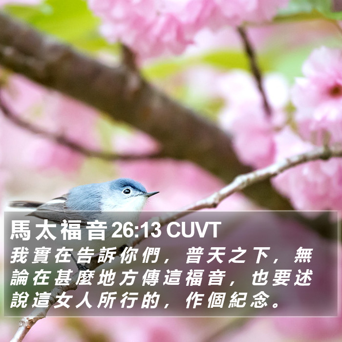 馬 太 福 音 26:13 CUVT Bible Study