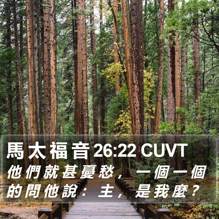 馬 太 福 音 26:22 CUVT Bible Study