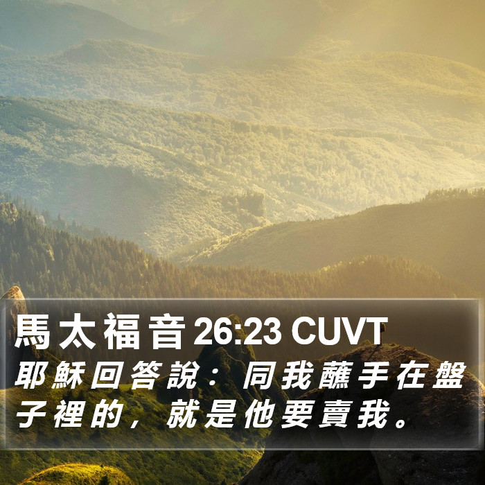 馬 太 福 音 26:23 CUVT Bible Study