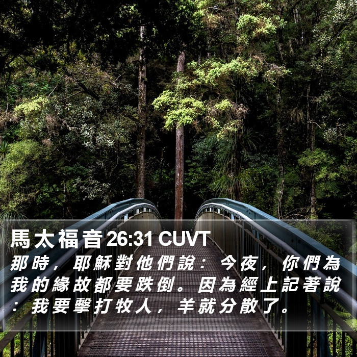 馬 太 福 音 26:31 CUVT Bible Study