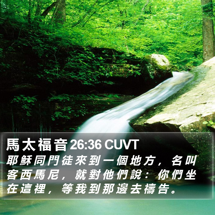 馬 太 福 音 26:36 CUVT Bible Study