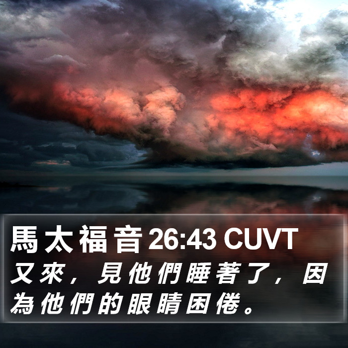 馬 太 福 音 26:43 CUVT Bible Study