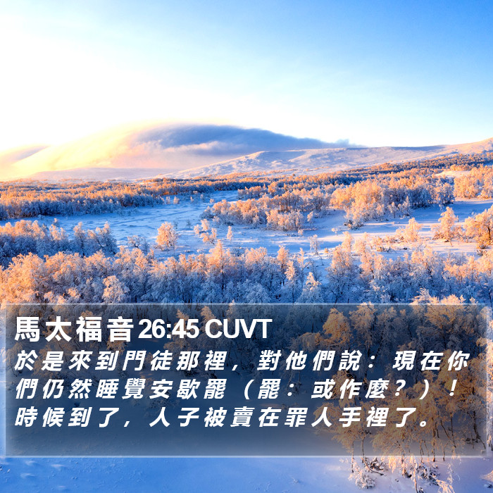 馬 太 福 音 26:45 CUVT Bible Study