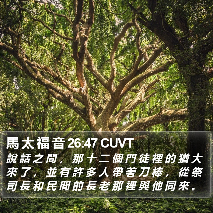 馬 太 福 音 26:47 CUVT Bible Study