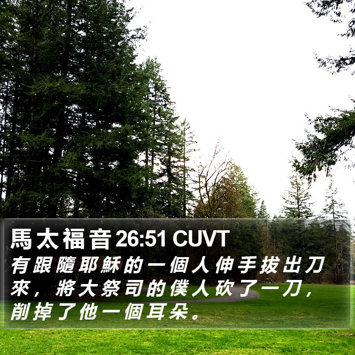 馬 太 福 音 26:51 CUVT Bible Study