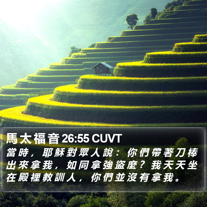 馬 太 福 音 26:55 CUVT Bible Study