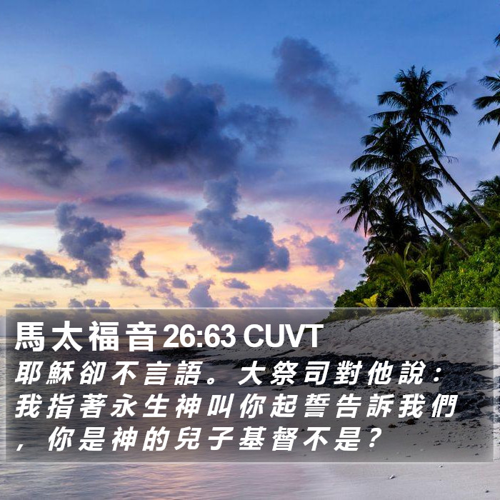 馬 太 福 音 26:63 CUVT Bible Study