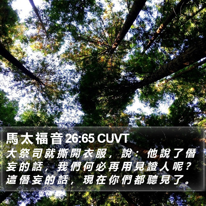 馬 太 福 音 26:65 CUVT Bible Study