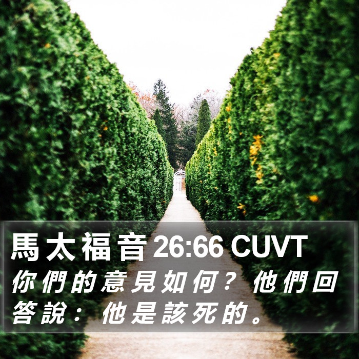 馬 太 福 音 26:66 CUVT Bible Study