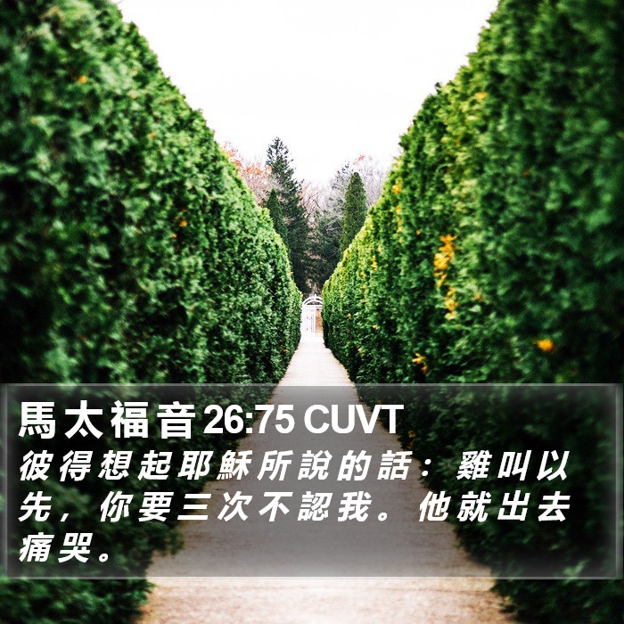 馬 太 福 音 26:75 CUVT Bible Study