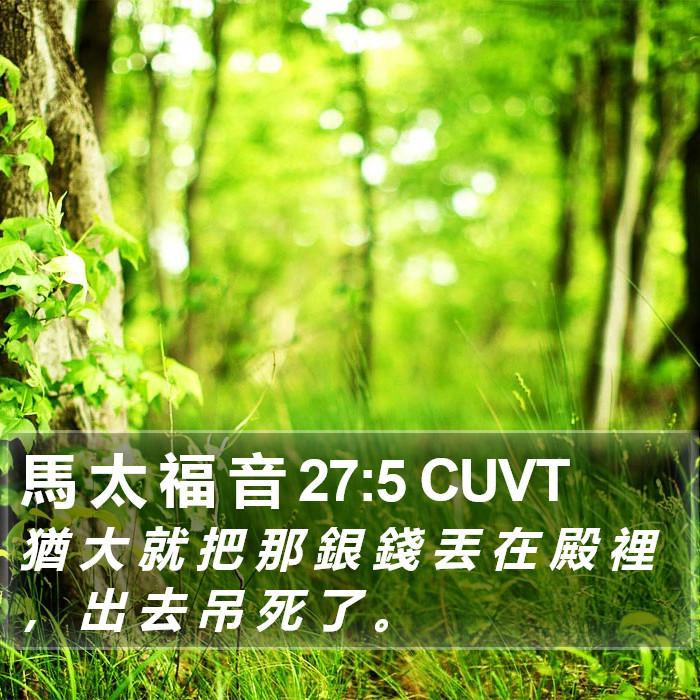 馬 太 福 音 27:5 CUVT Bible Study