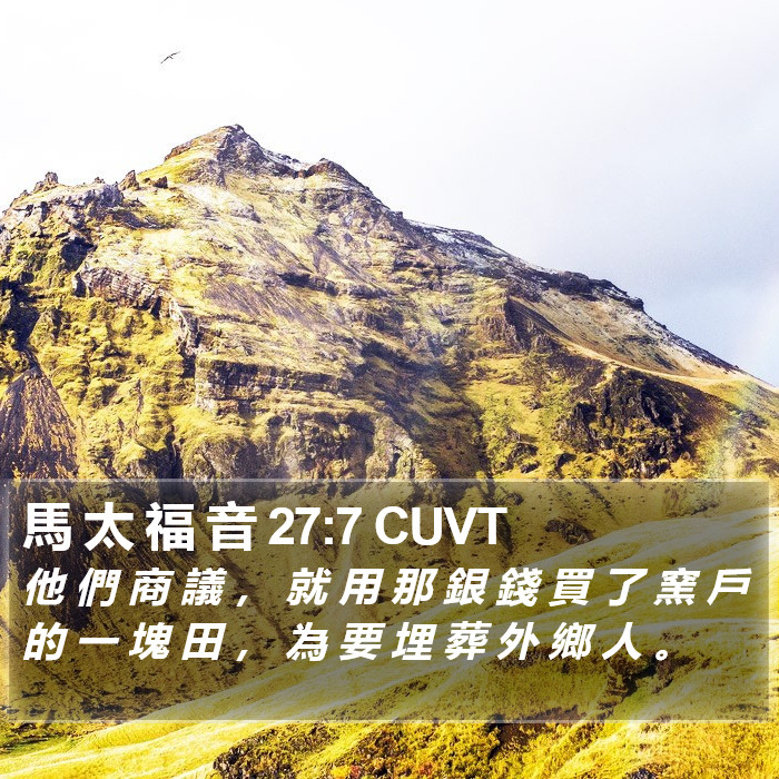 馬 太 福 音 27:7 CUVT Bible Study