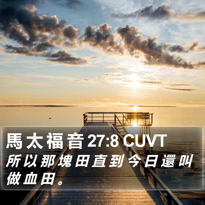 馬 太 福 音 27:8 CUVT Bible Study