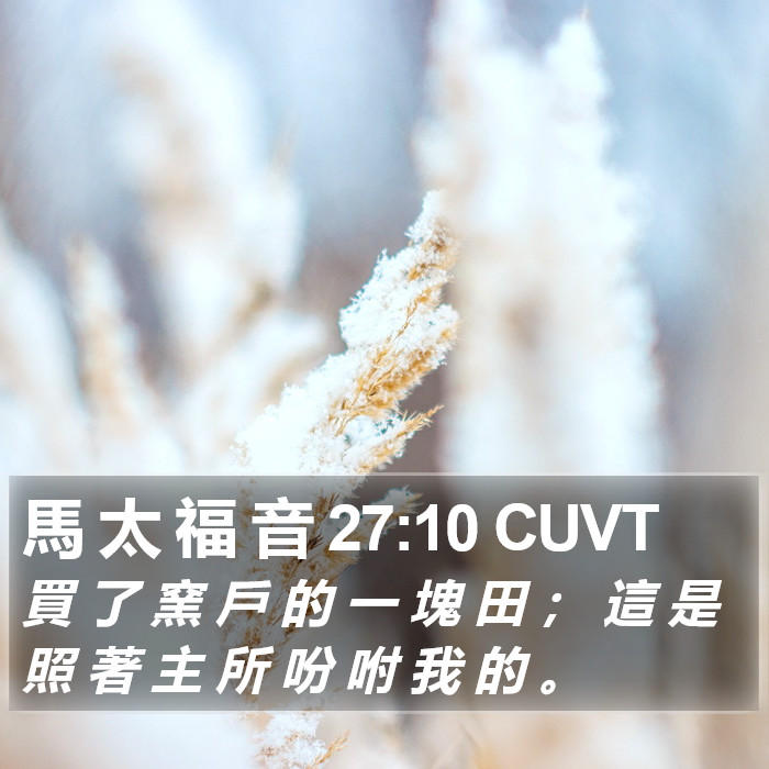 馬 太 福 音 27:10 CUVT Bible Study