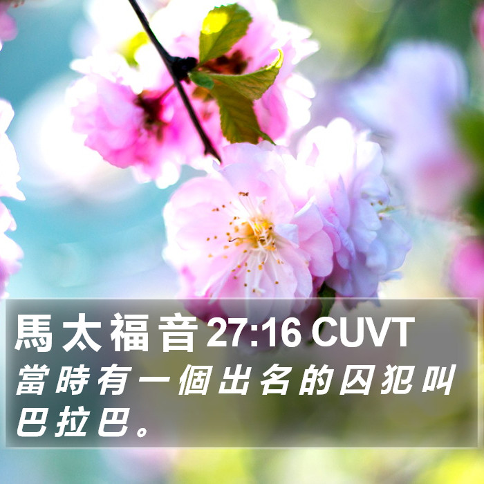 馬 太 福 音 27:16 CUVT Bible Study